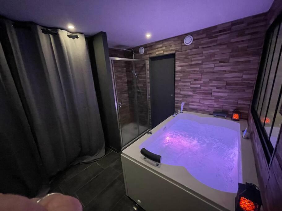 Charmante Residence De Tourisme Avec Jacuzzi Crecy-la-Chapelle Exterior photo
